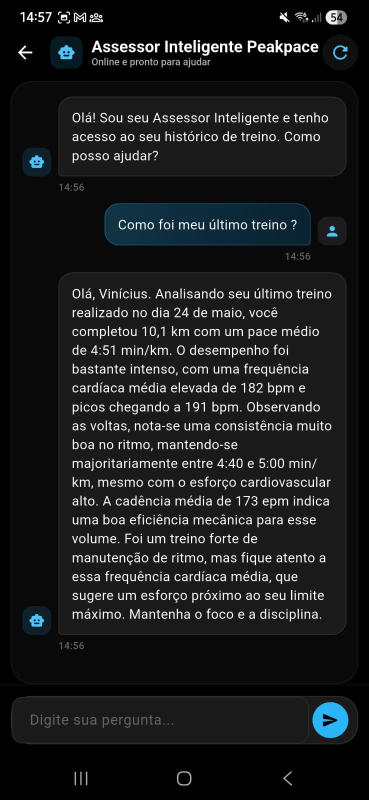 Ask Peakpace · como foi seu treino?